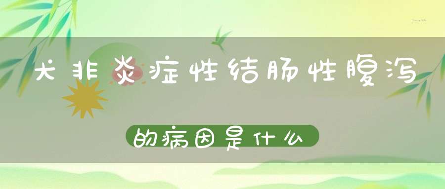 犬非炎症性结肠性腹泻的病因是什么