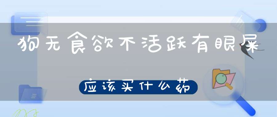 狗无食欲不活跃有眼屎应该买什么药