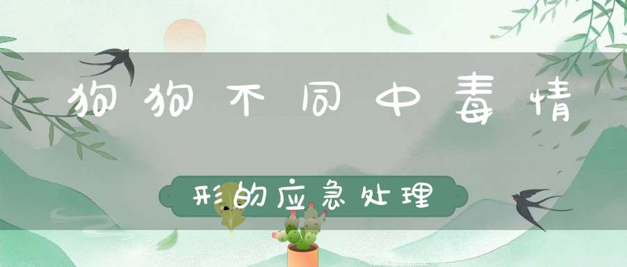 狗狗不同中毒情形的应急处理