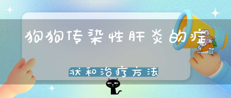 狗狗传染性肝炎的症状和治疗方法