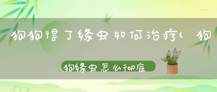 狗狗得了绦虫如何治疗(狗狗绦虫怎么彻底清除狗狗绦虫的清除技巧)