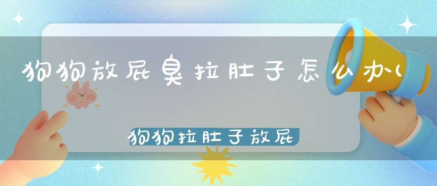 狗狗放屁臭拉肚子怎么办(狗狗拉肚子放屁很臭怎么回事)