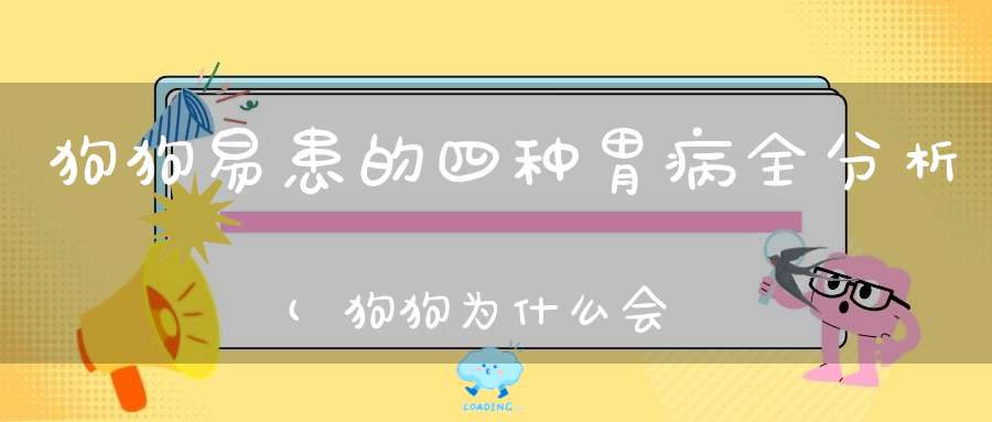 狗狗易患的四种胃病全分析(狗狗为什么会得肠胃病该如何治疗)