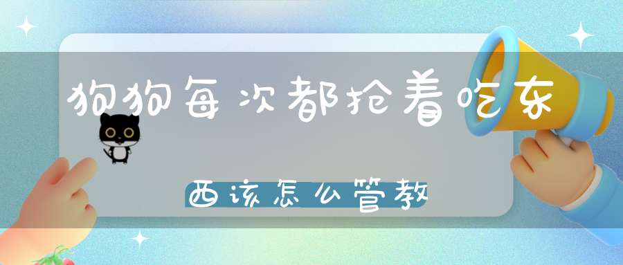 狗狗每次都抢着吃东西该怎么管教