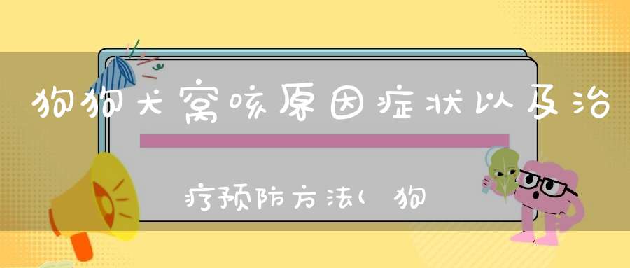 狗狗犬窝咳原因症状以及治疗预防方法(狗狗窝咳是什么症状怎么办)
