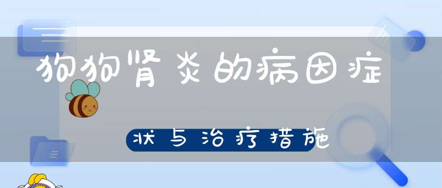 狗狗肾炎的病因症状与治疗措施