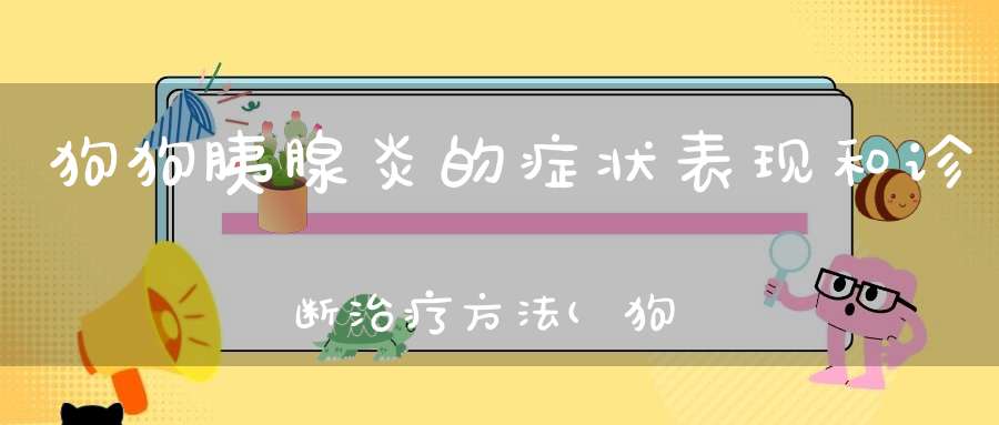 狗狗胰腺炎的症状表现和诊断治疗方法(狗狗胰腺炎是什么症状)