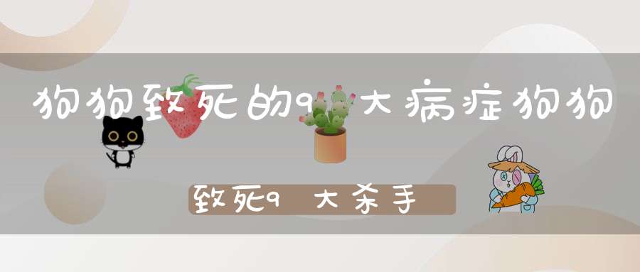 狗狗致死的9大病症狗狗致死9大杀手