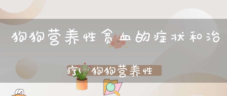 狗狗营养性贫血的症状和治疗(狗狗营养性贫血怎么办)