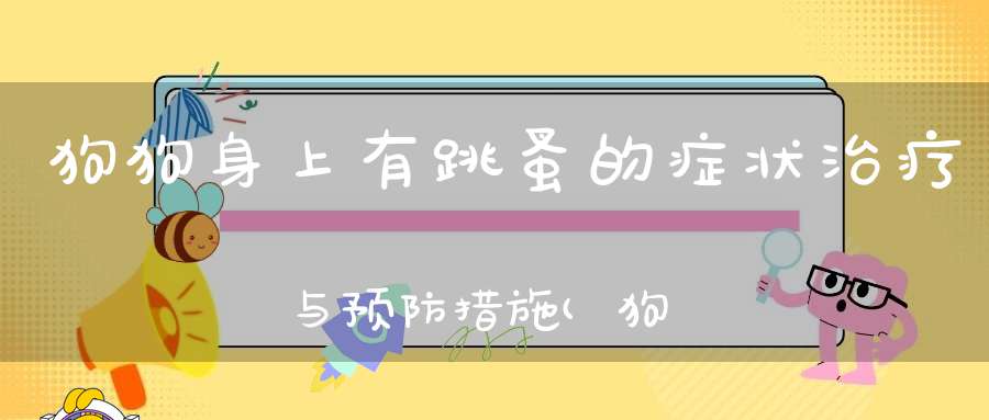 狗狗身上有跳蚤的症状治疗与预防措施(狗狗身上有跳蚤要怎么解决)