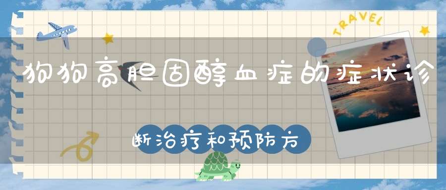 狗狗高胆固醇血症的症状诊断治疗和预防方法