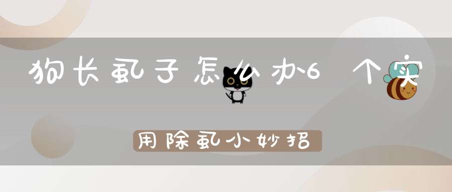 狗长虱子怎么办6个实用除虱小妙招