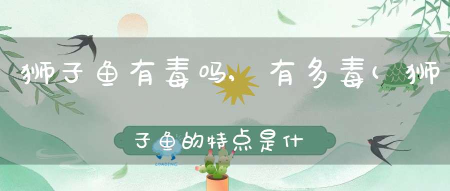 狮子鱼有毒吗,有多毒(狮子鱼的特点是什么)