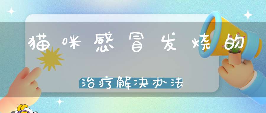 猫咪感冒发烧的治疗解决办法