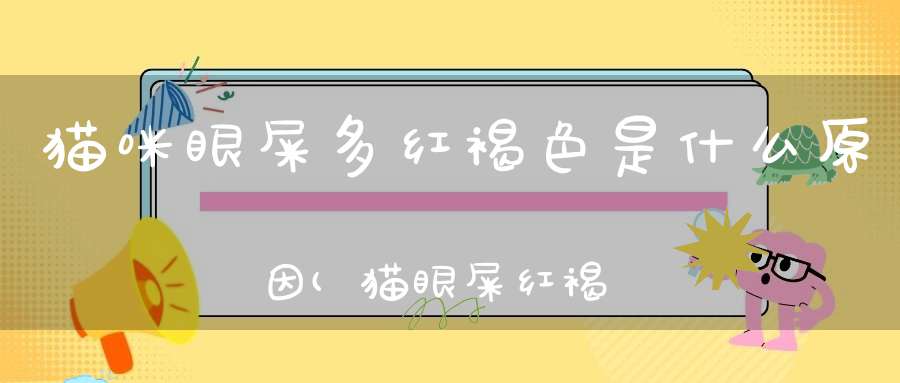 猫咪眼屎多红褐色是什么原因(猫眼屎红褐色是什么原因导致的)