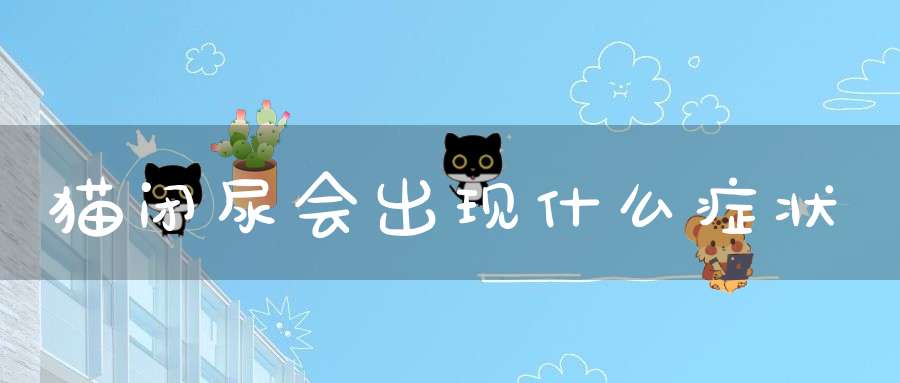 猫闭尿会出现什么症状