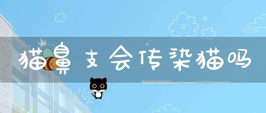 猫鼻支会传染猫吗