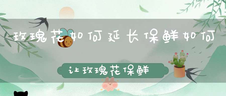 玫瑰花如何延长保鲜如何让玫瑰花保鲜