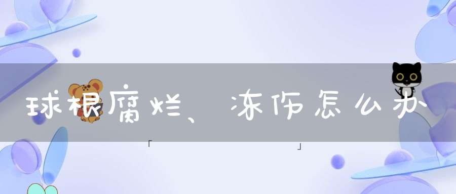 球根腐烂、冻伤怎么办