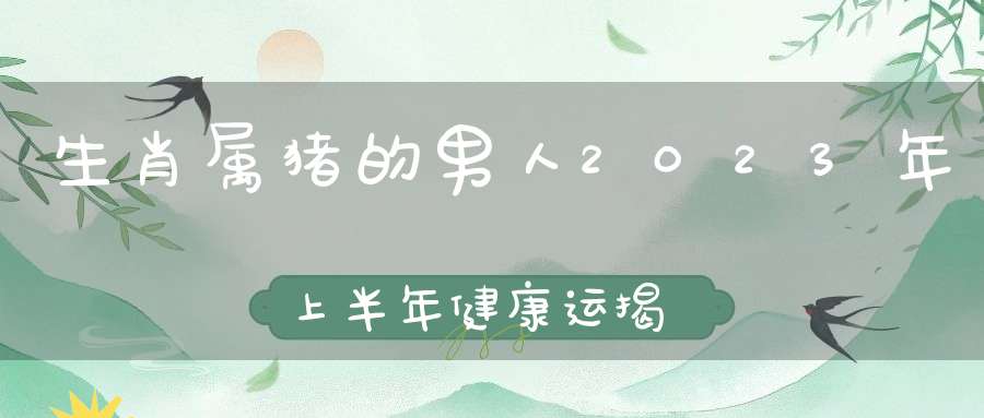 生肖属猪的男人2023年上半年健康运揭秘_需要注意什么