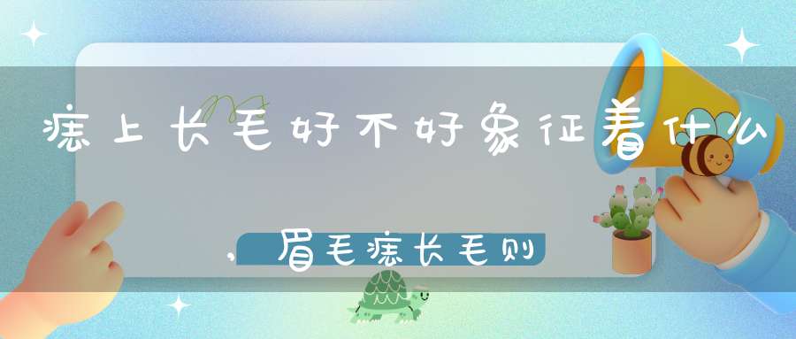 痣上长毛好不好象征着什么,眉毛痣长毛则善于理财