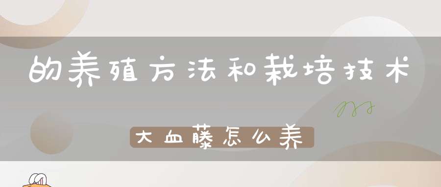 的养殖方法和栽培技术大血藤怎么养