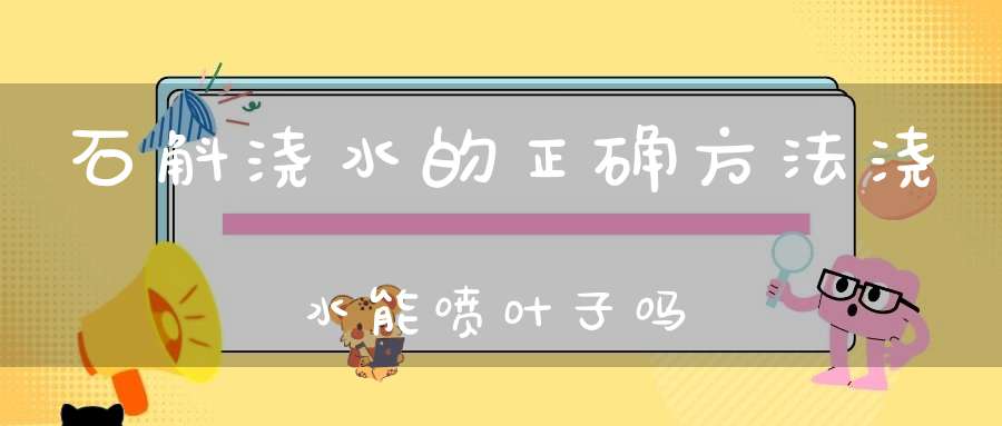 石斛浇水的正确方法浇水能喷叶子吗