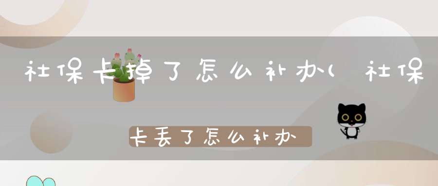 社保卡掉了怎么补办(社保卡丢了怎么补办)