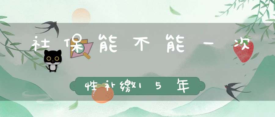 社保能不能一次性补缴15年