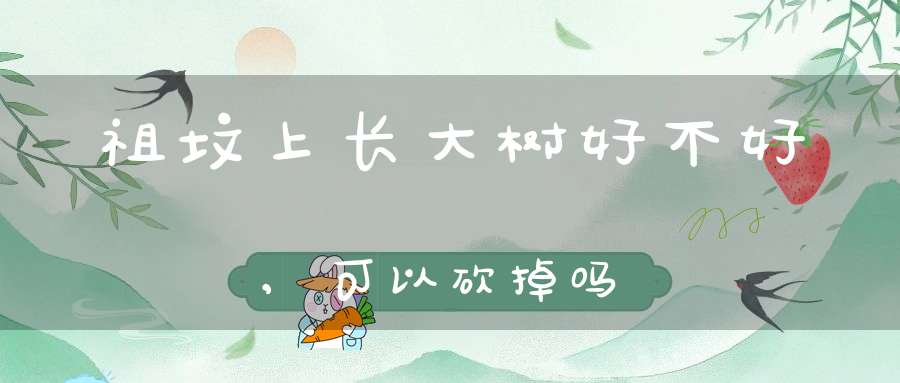 祖坟上长大树好不好,可以砍掉吗