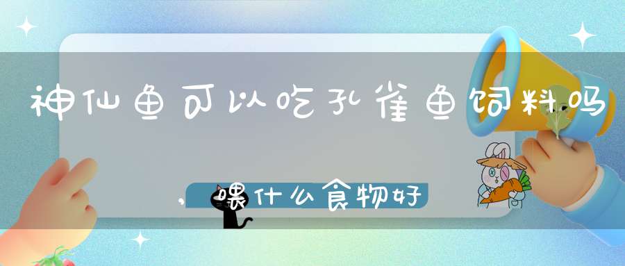 神仙鱼可以吃孔雀鱼饲料吗,喂什么食物好