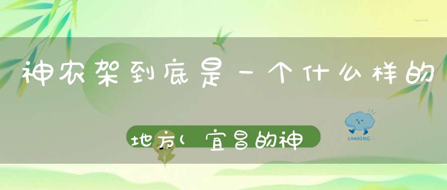 神农架到底是一个什么样的地方(宜昌的神农架值得一去吗)