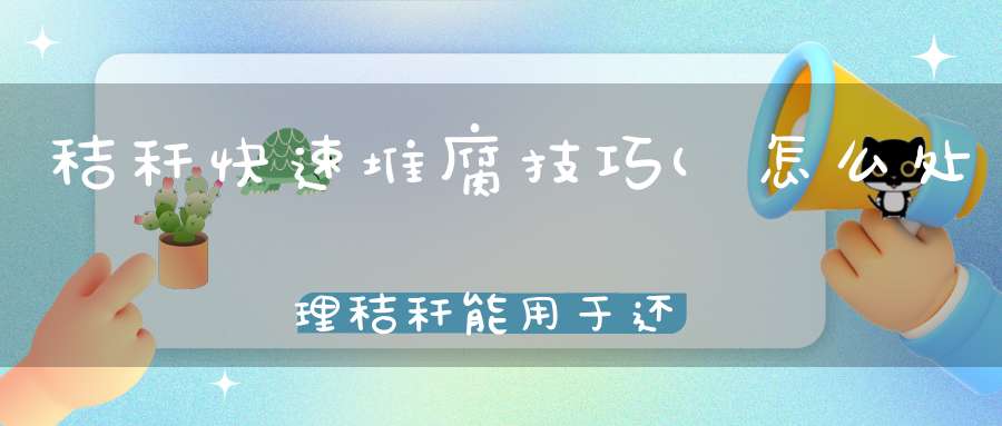 秸秆快速堆腐技巧(怎么处理秸秆能用于还田施肥)