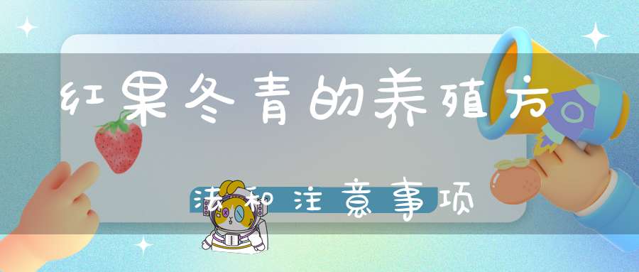 红果冬青的养殖方法和注意事项