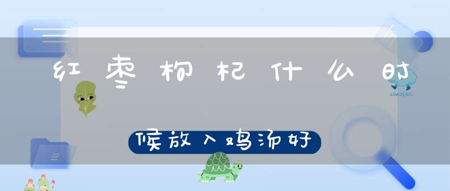 红枣枸杞什么时候放入鸡汤好