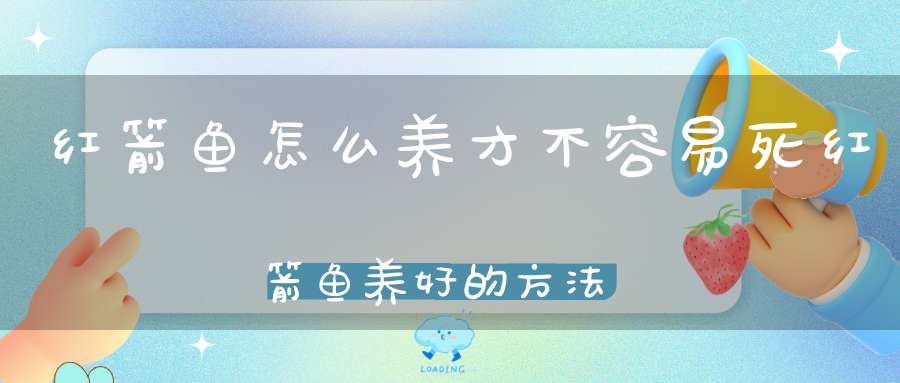 红箭鱼怎么养才不容易死红箭鱼养好的方法(红箭鱼生小鱼该怎么养)