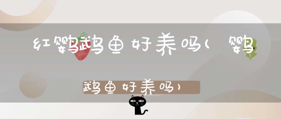 红鹦鹉鱼好养吗(鹦鹉鱼好养吗)