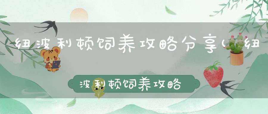 纽波利顿饲养攻略分享(纽波利顿饲养攻略有哪些如何进行喂养最为合适)