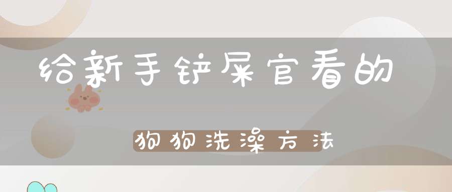 给新手铲屎官看的狗狗洗澡方法