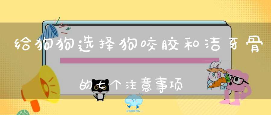 给狗狗选择狗咬胶和洁牙骨的七个注意事项