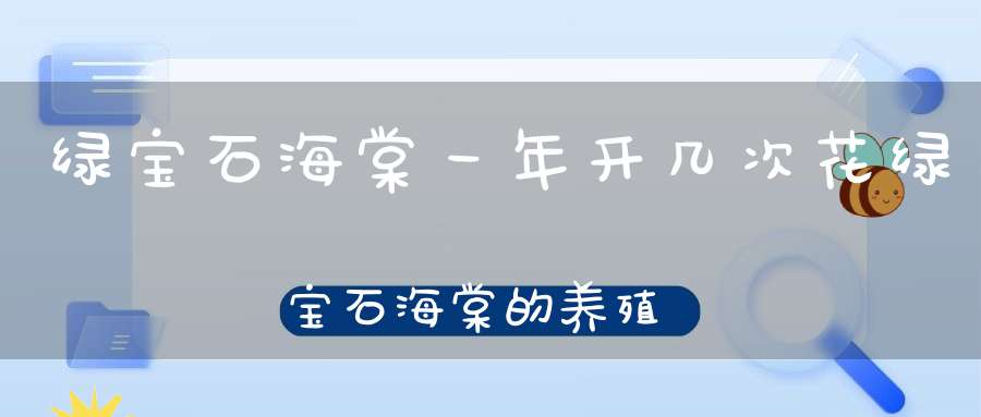 绿宝石海棠一年开几次花绿宝石海棠的养殖方法