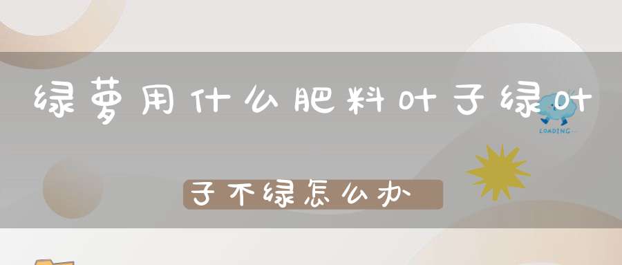 绿萝用什么肥料叶子绿叶子不绿怎么办