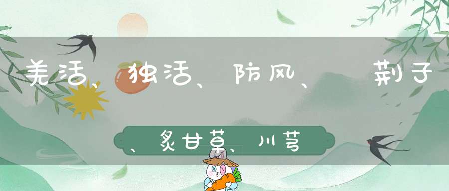 羌活、独活、防风、萲荆子、炙甘草、川芎、善本、一起用是治什么病的