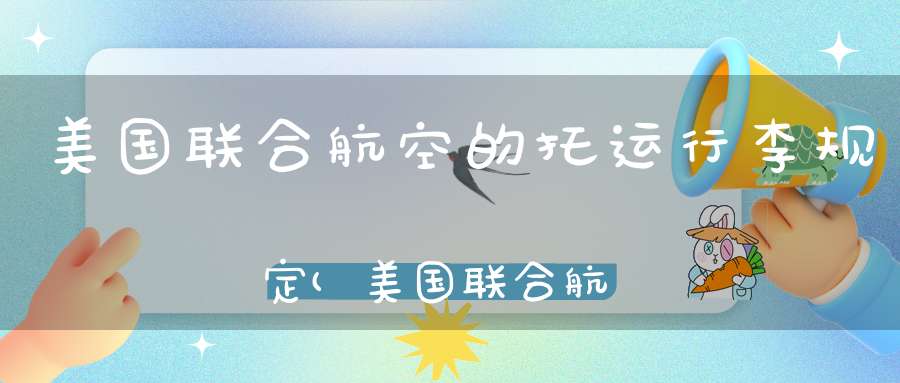 美国联合航空的托运行李规定(美国联合航空公司经济舱行李的规格)