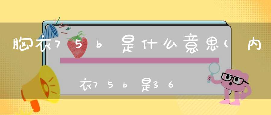 胸衣75b是什么意思(内衣75b是36b的吗内衣7580什么意思)