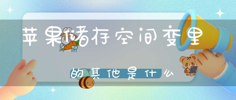 苹果储存空间变里的其他是什么