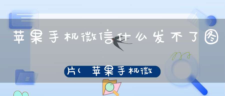 苹果手机微信什么发不了图片(苹果手机微信发不出去图片是怎么回事)