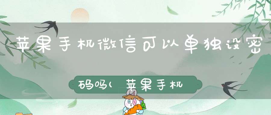 苹果手机微信可以单独设密码吗(苹果手机微信怎么设置密码锁)