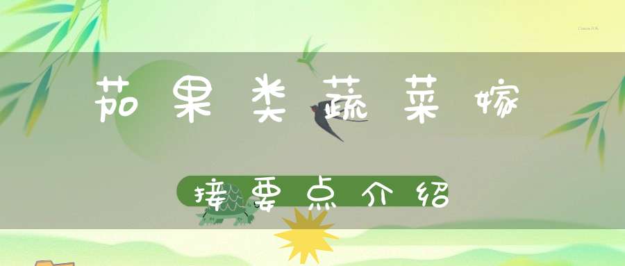 茄果类蔬菜嫁接要点介绍