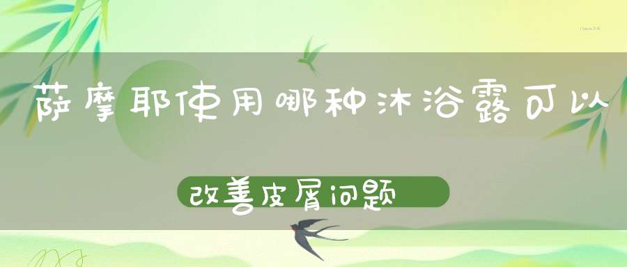 萨摩耶使用哪种沐浴露可以改善皮屑问题